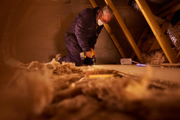 Eco-Friendly or Green Insulation Solutions in Tioga, ND